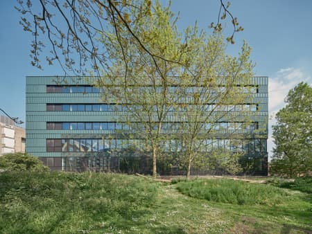 Paradise SE11 Mass Timber Office